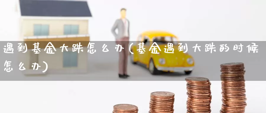 遇到基金大跌怎么办(基金遇到大跌的时候怎么办)_https://www.jinshufanghu.com_期货直播_第1张