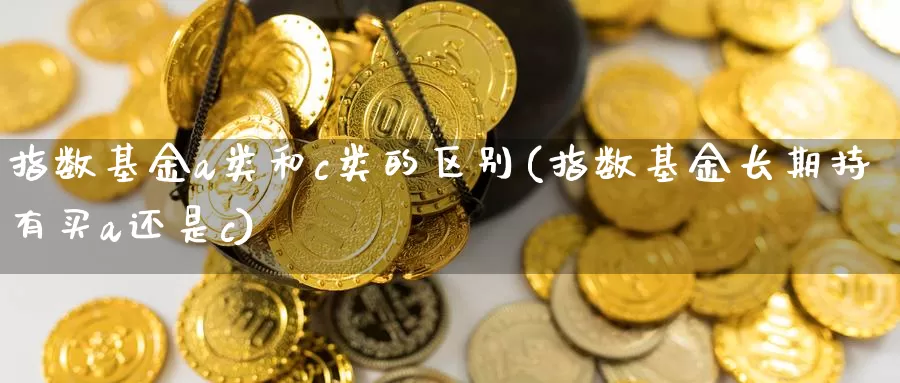 指数基金a类和c类的区别(指数基金长期持有买a还是c)_https://www.jinshufanghu.com_内盘期货_第1张