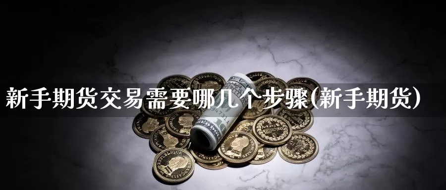 新手期货交易需要哪几个步骤(新手期货)_纳指期货_第1张_内盘期货直播室 新手期货交易需要哪几个步骤(新手期货)_https://www.jinshufanghu.com_纳指期货_第1张