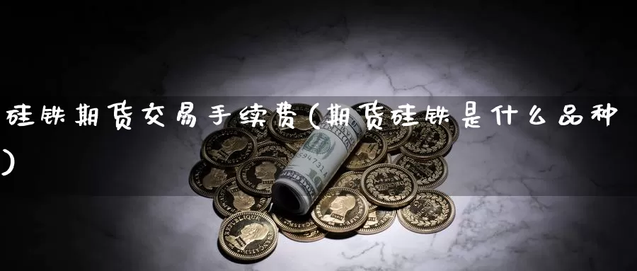 硅铁期货交易手续费(期货硅铁是什么品种)_https://www.jinshufanghu.com_纳指期货_第1张