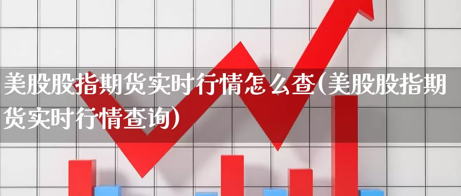 美股股指期货实时行情怎么查(美股股指期货实时行情查询)_https://www.jinshufanghu.com_内盘期货_第1张