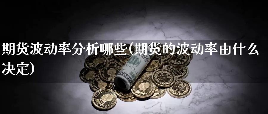 期货波动率分析哪些(期货的波动率由什么决定)_https://www.jinshufanghu.com_纳指期货_第1张