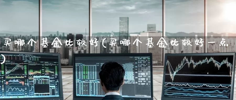 买哪个基金比较好(买哪个基金比较好一点)_https://www.jinshufanghu.com_黄金期货_第1张