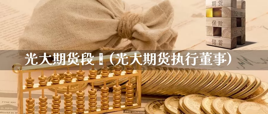 光大期货段鑫(光大期货执行董事)_https://www.jinshufanghu.com_纳指期货_第1张
