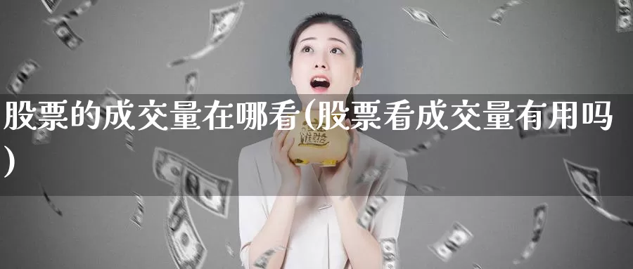 股票的成交量在哪看(股票看成交量有用吗)_https://www.jinshufanghu.com_黄金期货_第1张