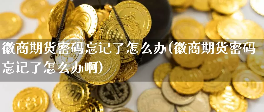 徽商期货密码忘记了怎么办(徽商期货密码忘记了怎么办啊)_https://www.jinshufanghu.com_内盘期货_第1张