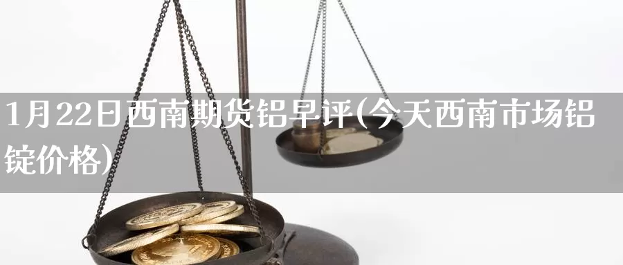 1月22日西南期货铝早评(今天西南市场铝锭价格)_https://www.jinshufanghu.com_期货直播_第1张