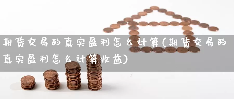 期货交易的真实盈利怎么计算(期货交易的真实盈利怎么计算收益)_https://www.jinshufanghu.com_纳指期货_第1张
