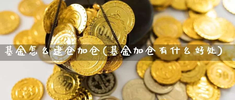 基金怎么建仓加仓(基金加仓有什么好处)_期货直播_第1张_内盘期货直播室 基金怎么建仓加仓(基金加仓有什么好处)_https://www.jinshufanghu.com_期货直播_第1张